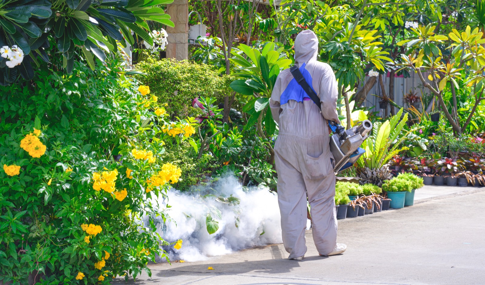 Mosquito Control